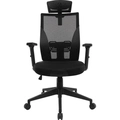 Cadeira De Escritório Ergonômica Fortrek Ergo Shield Mesh Respirável Preta