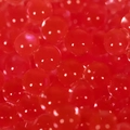 Bolinhas de Gel Orbeez 10.000 - Vermelha (Leão)
