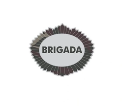 Brevê Sargento de Brigada Emborrachado (Peito)