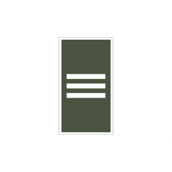 Divisa de Gola de Cadete 3º Ano AMAN - Barreta (Emborrachado)