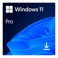 Windows 11 Pro Microsoft 64 Bit Esd Fqc-10572