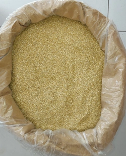 CHAMOMILE TBC Matricaria recutita