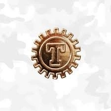 Divisa de Gola Metal  (Técnico Temporário)