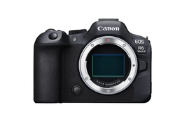 Câmera Mirrorless Canon EOS R6 Mark II (Corpo)