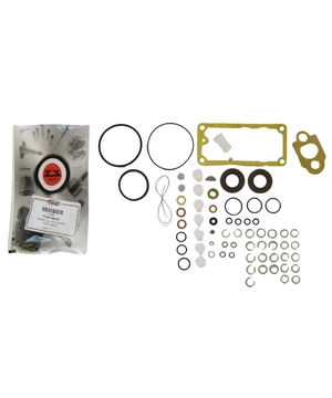 KIT REPARO BOMBA INJETORA DELPHI DPS PARA MASSEY FERGUSON - MOTOR PERKINS EQ. 7135-124 ZY