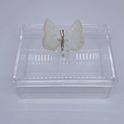 Caixa P tampa removível Borboleta Quartzo