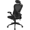 Cadeira Ergonômica Fortrek Ergo Base Mesh Preta - 85032