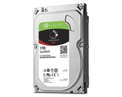 Hdd Seagate Ironwolf 1tb P/ Nas - St1000vn002