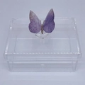 Caixa P tampa removível Borboleta Quartzo