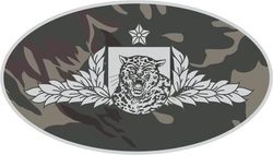 Brevê Guerra na Selva Emborrachado  (Elipse)