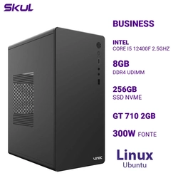 Computador B500 Core I5 12400f 2.5ghz Memória 8gb Ddr4 Ssd 256gb Nvme Gt 710 2gb Fonte 300w  Linux Ubuntu