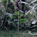 Bastão de Caminhada Actos 115cm - 135cm, Trava Rápida e Manopla de Cortiça (Azteq)