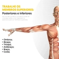 Mini Bicicleta Ergométrica Portátil para Exercícios Braços e Pernas Pro Preta
