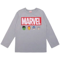 Camiseta Manga Longa Marvel Cinza - Masculina