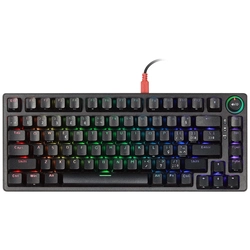 Teclado Gamer Mecanico Pcyes 75% Rasec Gasket Mount Gateron Blue Rgb - Twgblrgb