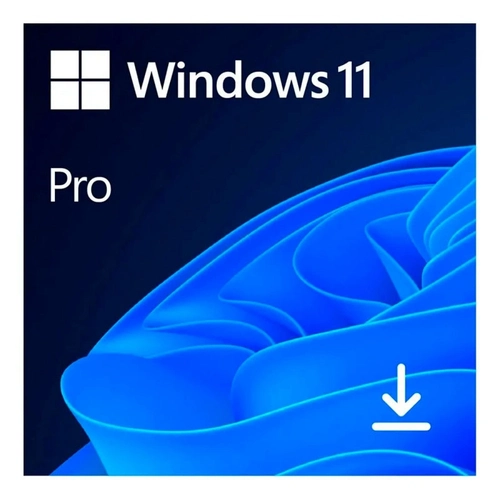 Windows 11 Pro Microsoft 64 Bit Esd Fqc-10572