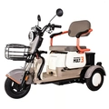 Triciclo Eletrico Mult 3 Wx-T02 Wehawk 650w Bat 60v 20ah 3 Lugares Branco/Marrom