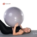 Bola Pilates Suíça Yoga 65cm Ginástica Alta Performance Essencefit