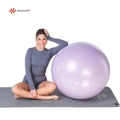 Bola de Ginástica Suíça Yoga Pilates 65cm Tecnologia Anti Estouro EssenceFit