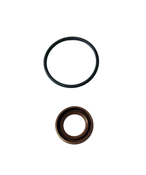 REPARO COMMON RAIL CP3 LINHA 010 (ANEL+RET20M