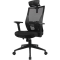 Cadeira De Escritório Ergonômica Fortrek Ergo Shield Mesh Respirável Preta