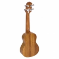 Ukulele Acustico Soprano Start Guk-21 Zebra Wood Giannini