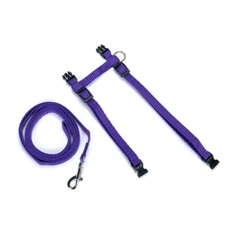 Kit Guia e Peitoral Ajustável para Gatos Roxo