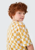 Camiseta Manga Curta Amarelo Quadriculada Hering - Masculina