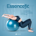 Bola Pilates Suiça Yoga 65cm Ginástica Abdominal e Muscular EssenceFit