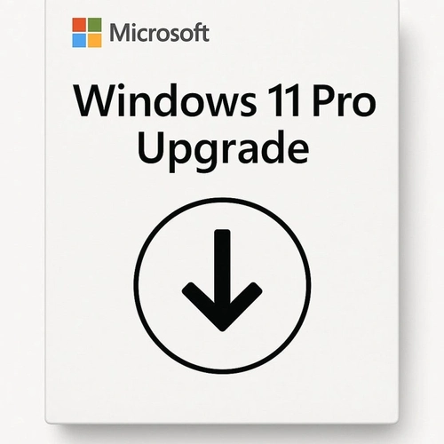 Microsoft Windows 11 Pro Upgrade Perpétuo Csp - Dg7gmgf0d8h4-004
