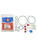 KIT REPARO PARCIAL BOMBA DE ALTA PRESSÃO COMMON RAIL CP3 COM BOMBA DE ENGRENAGEM - EQ. F00N201974 SPACO