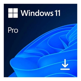 Windows 11 Pro Microsoft 64 Bit Esd Fqc-10572