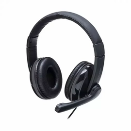 Headset Com Fio Hf700 Conexao Usb Cabo de 210cm Cancelamento de Ruido Ph317