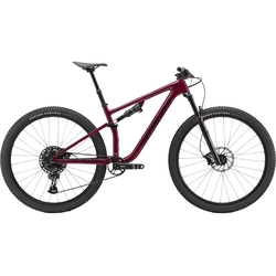 Bicicleta Specialized Epic Evo