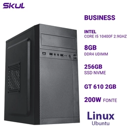 Computador B500 Core I5 10400f 2.9ghz Memória 8gb Ddr4 Ssd 256gb Nvme Gt 610 2gb Fonte 200w Linux Ubuntu