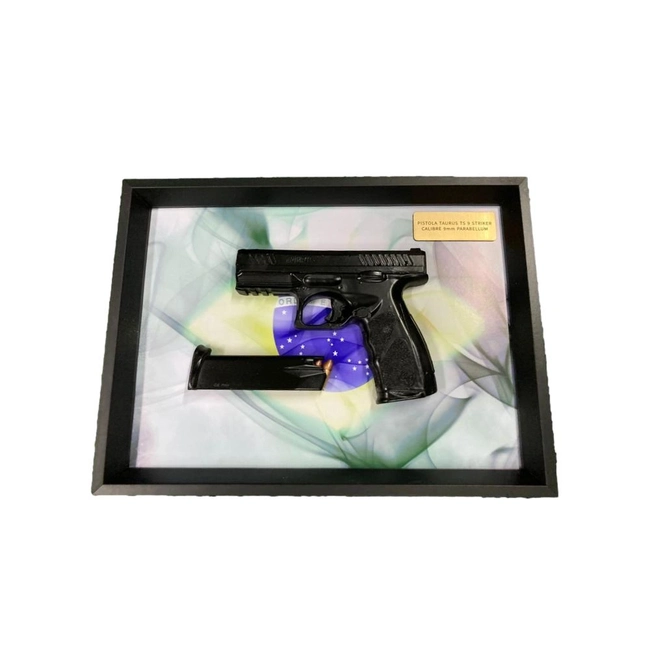 Quadro Moldura Decorativa - (Pistola TS9)