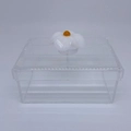 Caixa P tampa removível Flor