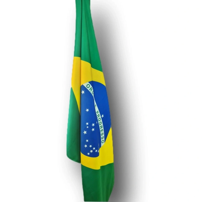 Bandeira do Brasil Oxford Alien (0,20x0,14)
