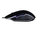 Mouse Gamer Evolut EG104 RGB LED Rayden 2400DPI