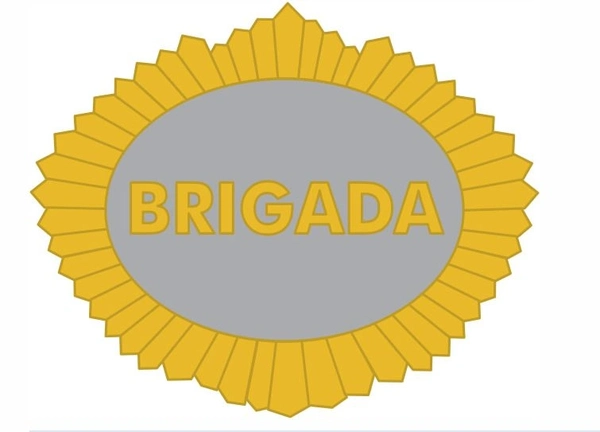 Brigada de Montanha do Exército Brasileiro - Passagem da Insígnia