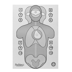 Alvo Tactical Dynamic - Shotgun (Shotgun)