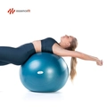 Bola Pilates Suiça Yoga 65cm Ginástica Abdominal e Muscular Essencefit