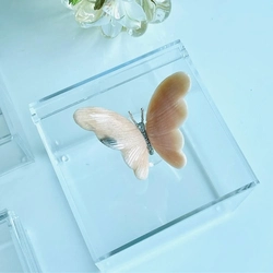 Caixa Cubo Borboleta