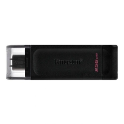 Pen Drive Kingston 256gb Padrão Usb-c - Dt70/256gbi