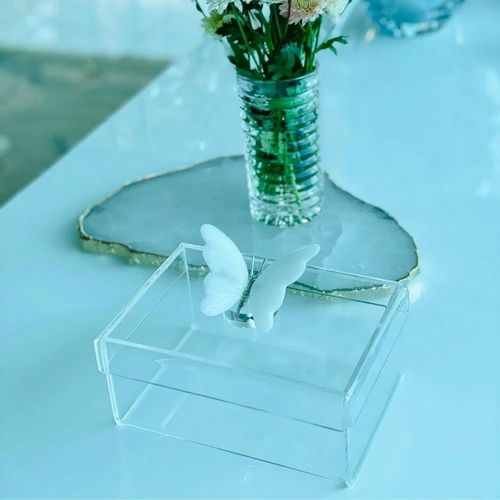 Caixa P tampa removível Borboleta