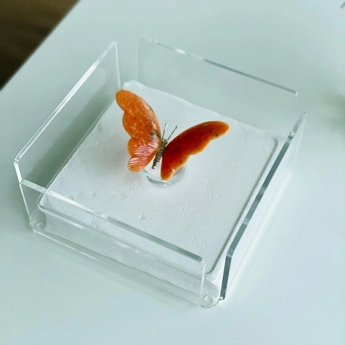 Porta Guardanapos Papel Borboleta