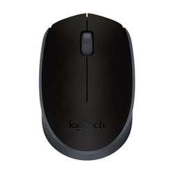 Mouse Optico M170 Sem Fio Preto