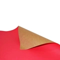 Papel Cartão Fosco Vermelho 200g 48x66cm