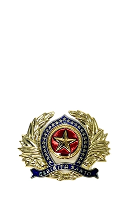 Distintivo de boina de OFICIAL - Espírito Santo