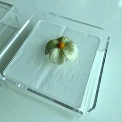 Porta Guardanapos Papel Flor